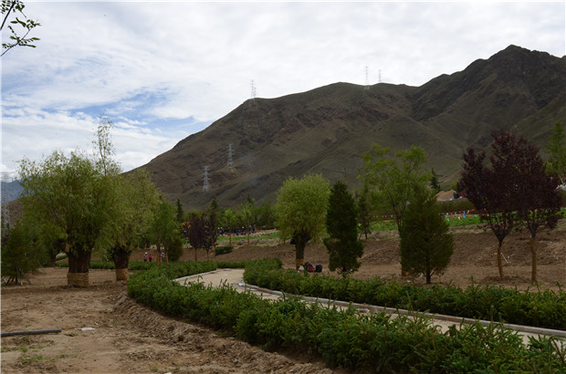 1457939497888477.jpg d87faec5-87eb-4bba-a9c7-47edefb69fdc.jpg